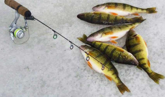 Find Me Some Perch - AnyGlide